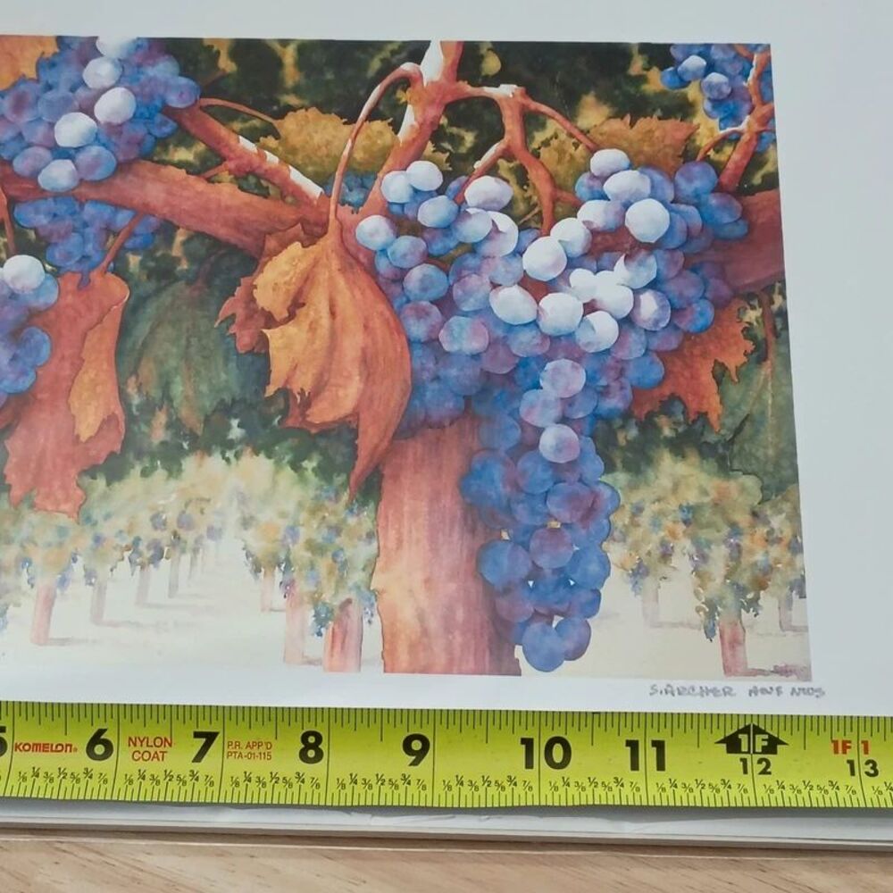 NEW Sue Archer Between Vine & Wine Fine Art Giclee Reproduction Watercolor Print - Picture 10 of 12
